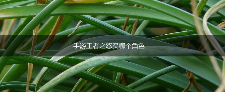 手游王者之怒买哪个角色,第1张