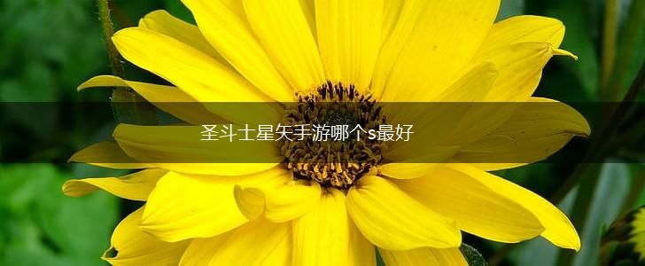圣斗士星矢手游哪个s最好,第1张