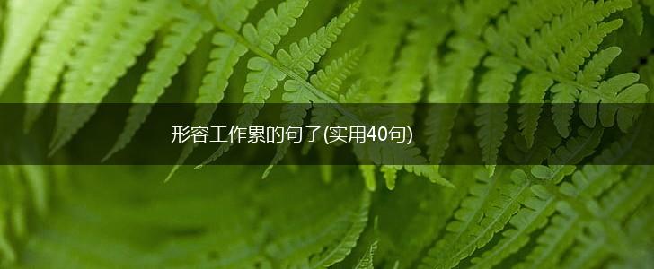 形容工作累的句子(实用40句),第1张