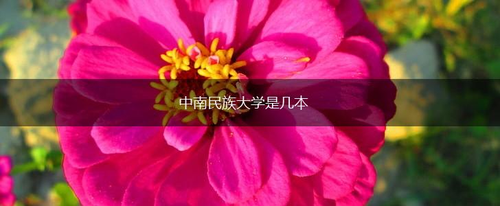 中南民族大学是几本,第1张
