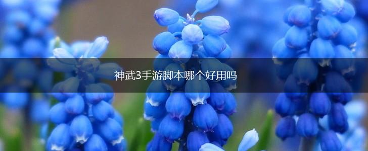 神武3手游脚本哪个好用吗,第1张