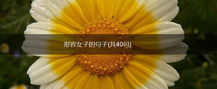 形容女子的句子(共40句),第1张