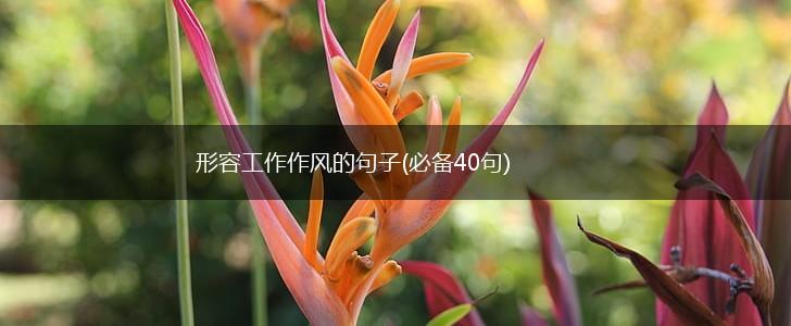 形容工作作风的句子(必备40句),第1张