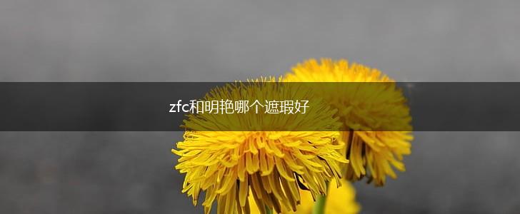 zfc和明艳哪个遮瑕好,第1张