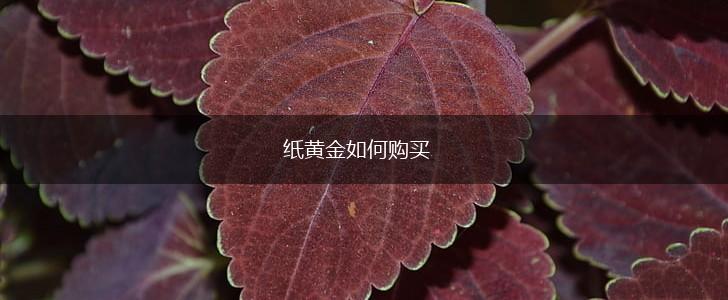 纸黄金如何购买,第1张