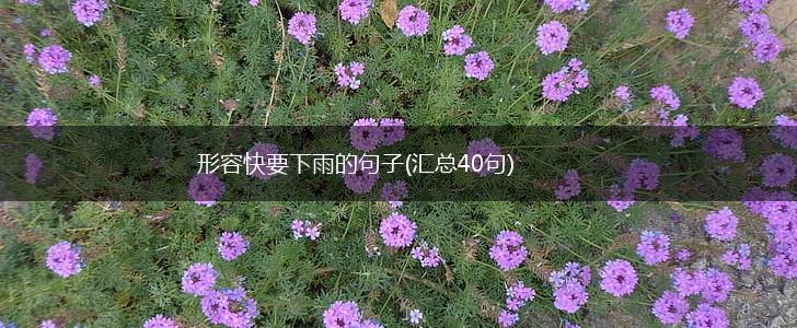 形容快要下雨的句子(汇总40句),第1张