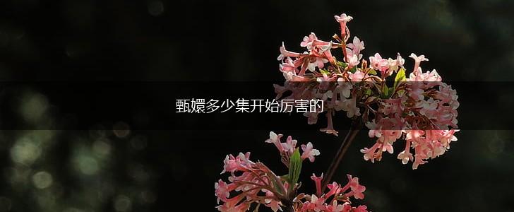 甄嬛多少集开始厉害的,第1张