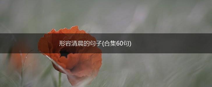 形容清晨的句子(合集60句),第1张