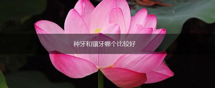 种牙和镶牙哪个比较好,第1张