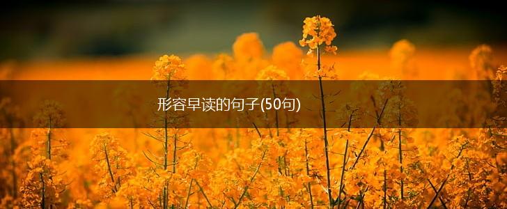 形容早读的句子(50句),第1张