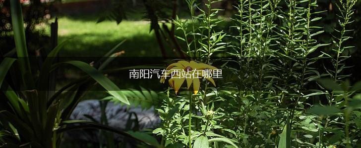 南阳汽车西站在哪里,第1张