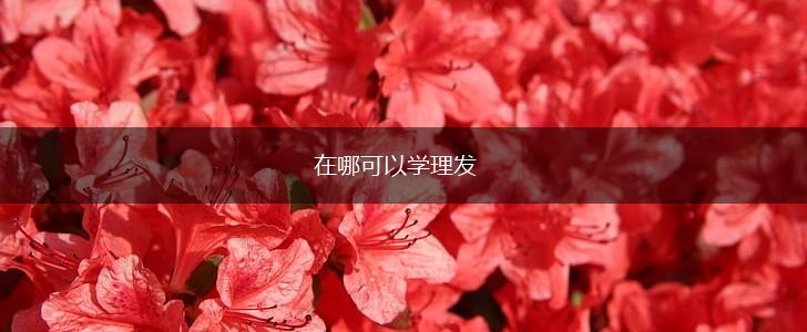 在哪可以学理发,第1张