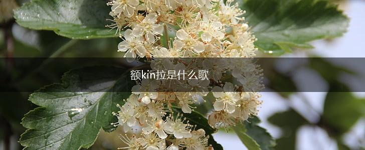 额kin拉是什么歌,第1张
