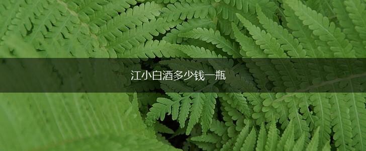 江小白酒多少钱一瓶,第1张