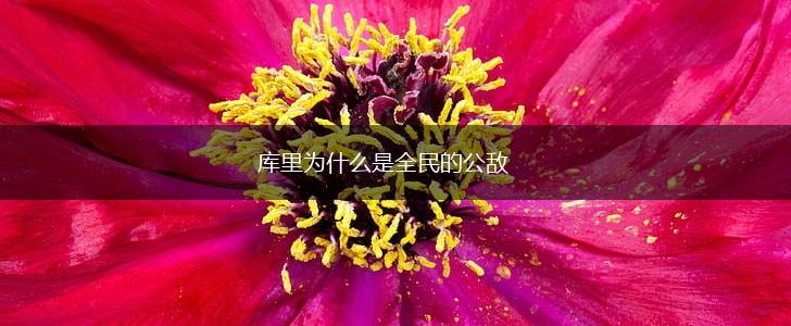 库里为什么是全民的公敌,第1张