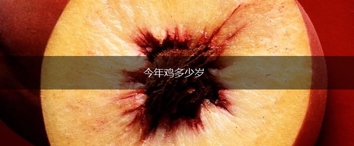 今年鸡多少岁,第1张
