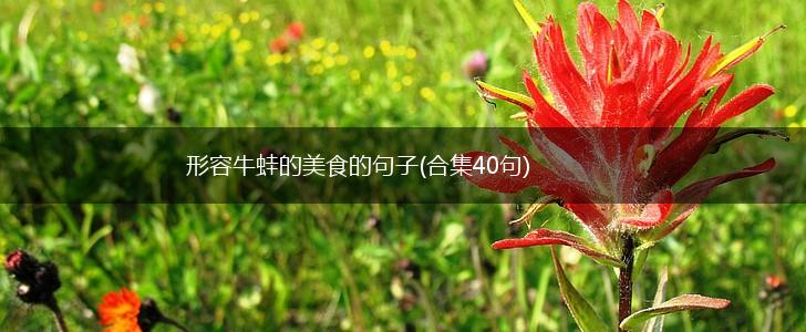 形容牛蛙的美食的句子(合集40句),第1张