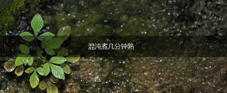 混沌煮几分钟熟,第1张