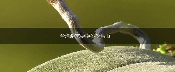 台湾游需要换多少台币,第1张