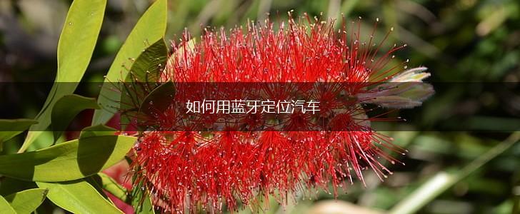 如何用蓝牙定位汽车,第1张