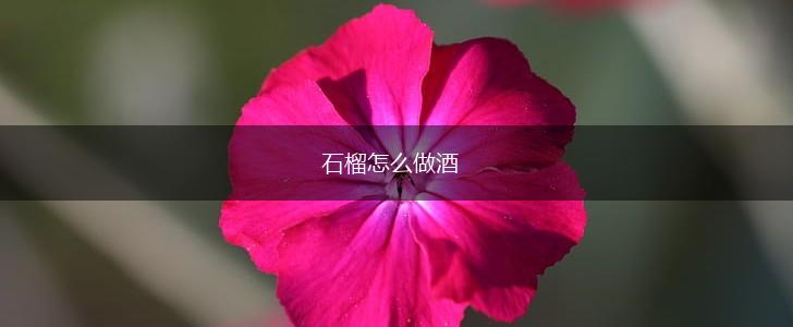 石榴怎么做酒,第1张