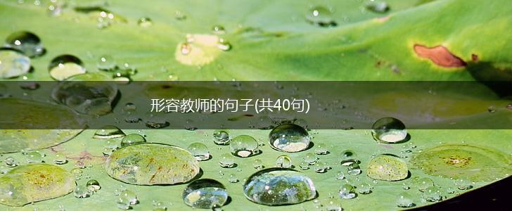 形容教师的句子(共40句),第1张