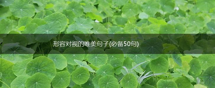 形容对视的唯美句子(必备50句),第1张