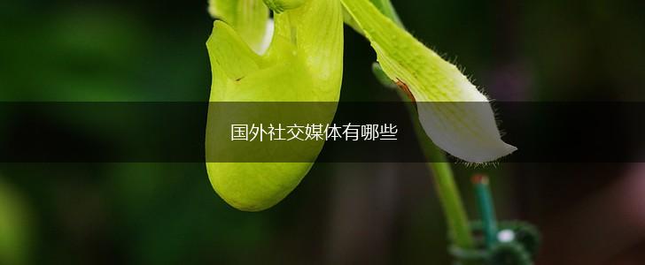 国外社交媒体有哪些,第1张