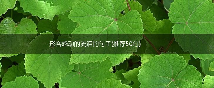 形容感动的流泪的句子(推荐50句),第1张