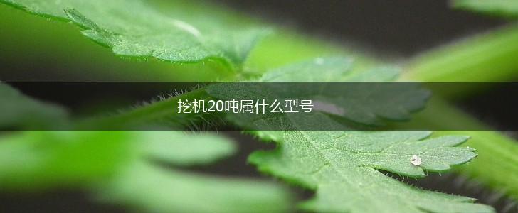 挖机20吨属什么型号,第1张