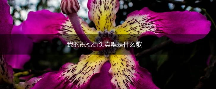 我的祝福街头卖唱是什么歌,第1张