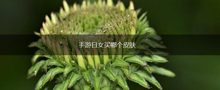 手游日女买哪个皮肤,第1张