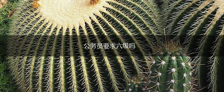 公务员要求六级吗,第1张