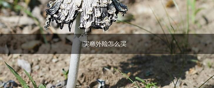 买意外险怎么买,第1张