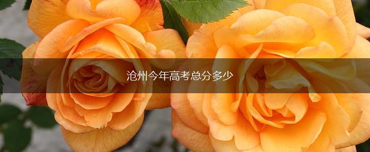 沧州今年高考总分多少,第1张