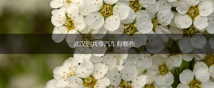武汉的共享汽车有哪些,第1张