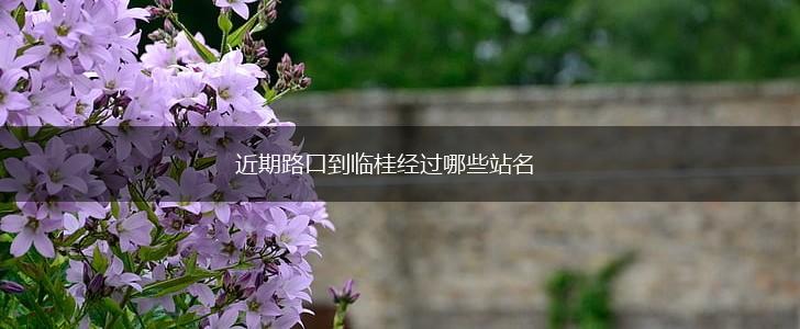 近期路口到临桂经过哪些站名,第1张