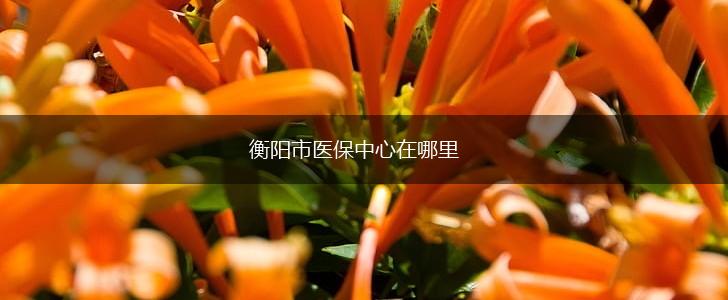衡阳市医保中心在哪里,第1张