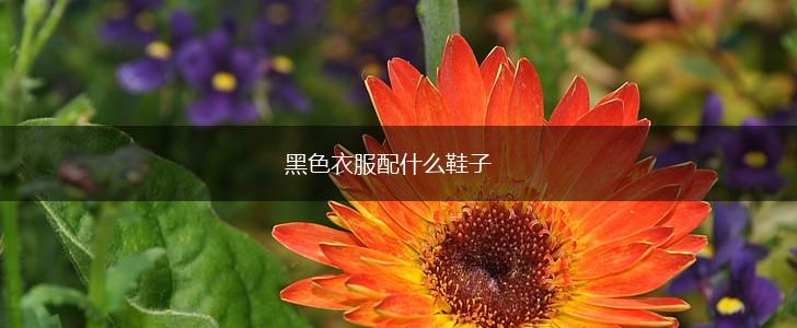 黑色衣服配什么鞋子,第1张