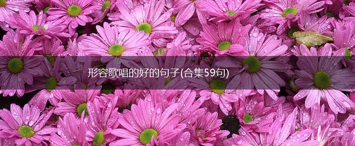 形容歌唱的好的句子(合集59句),第1张