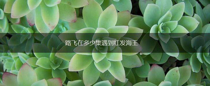 路飞在多少集遇到红发海王,第1张