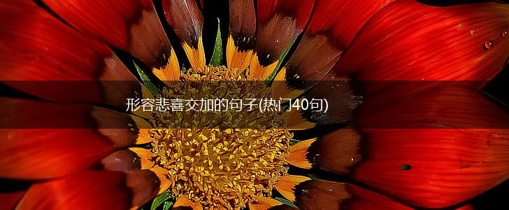 形容悲喜交加的句子(热门40句),第1张
