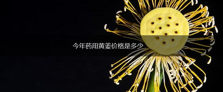 今年药用黄姜价格是多少,第1张