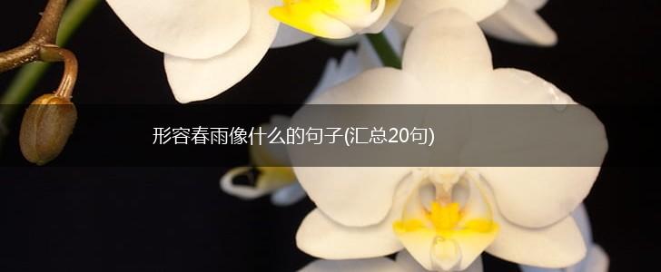 形容春雨像什么的句子(汇总20句),第1张