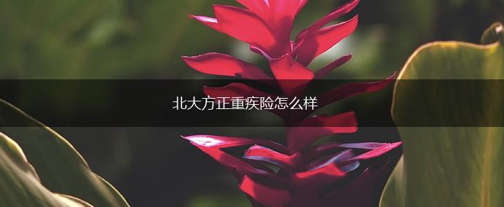 北大方正重疾险怎么样,第1张