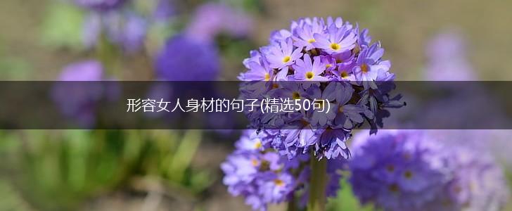 形容女人身材的句子(精选50句),第1张