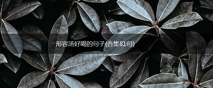 形容汤好喝的句子(合集81句),第1张