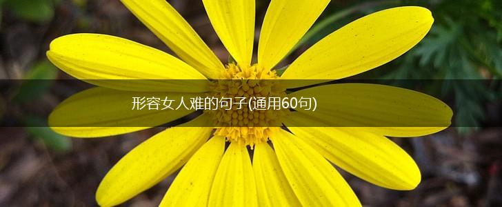 形容女人难的句子(通用60句),第1张