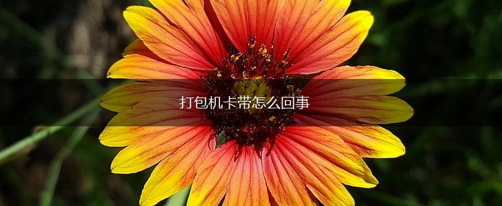 打包机卡带怎么回事,第1张