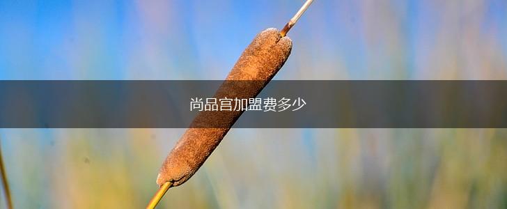 尚品宫加盟费多少,第1张